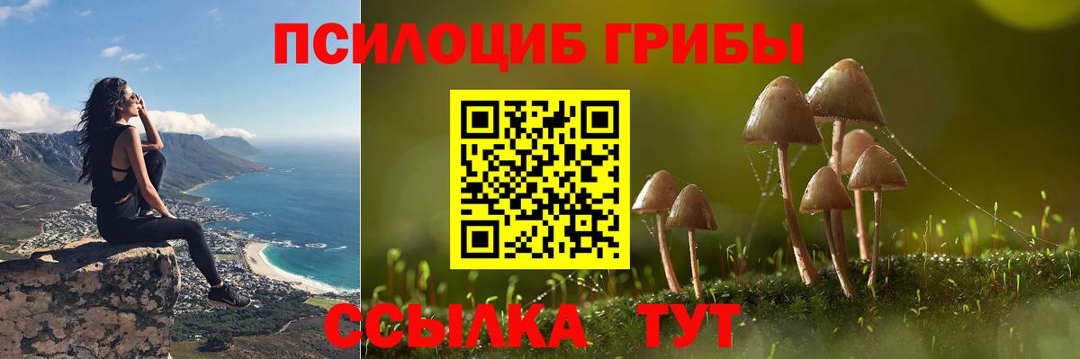 Галлюциногенные грибы GOLDEN TEACHER Чистополь
